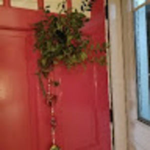 Meet your Posher, Emma